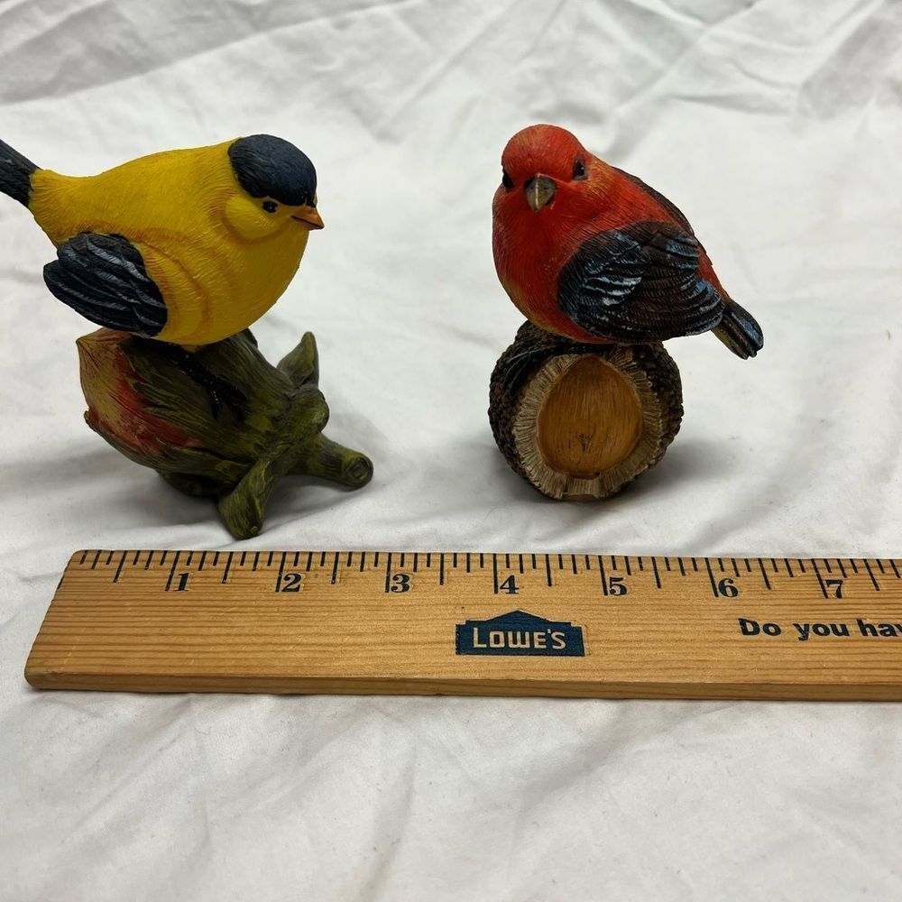 Bird collection - Picture 14 of 16